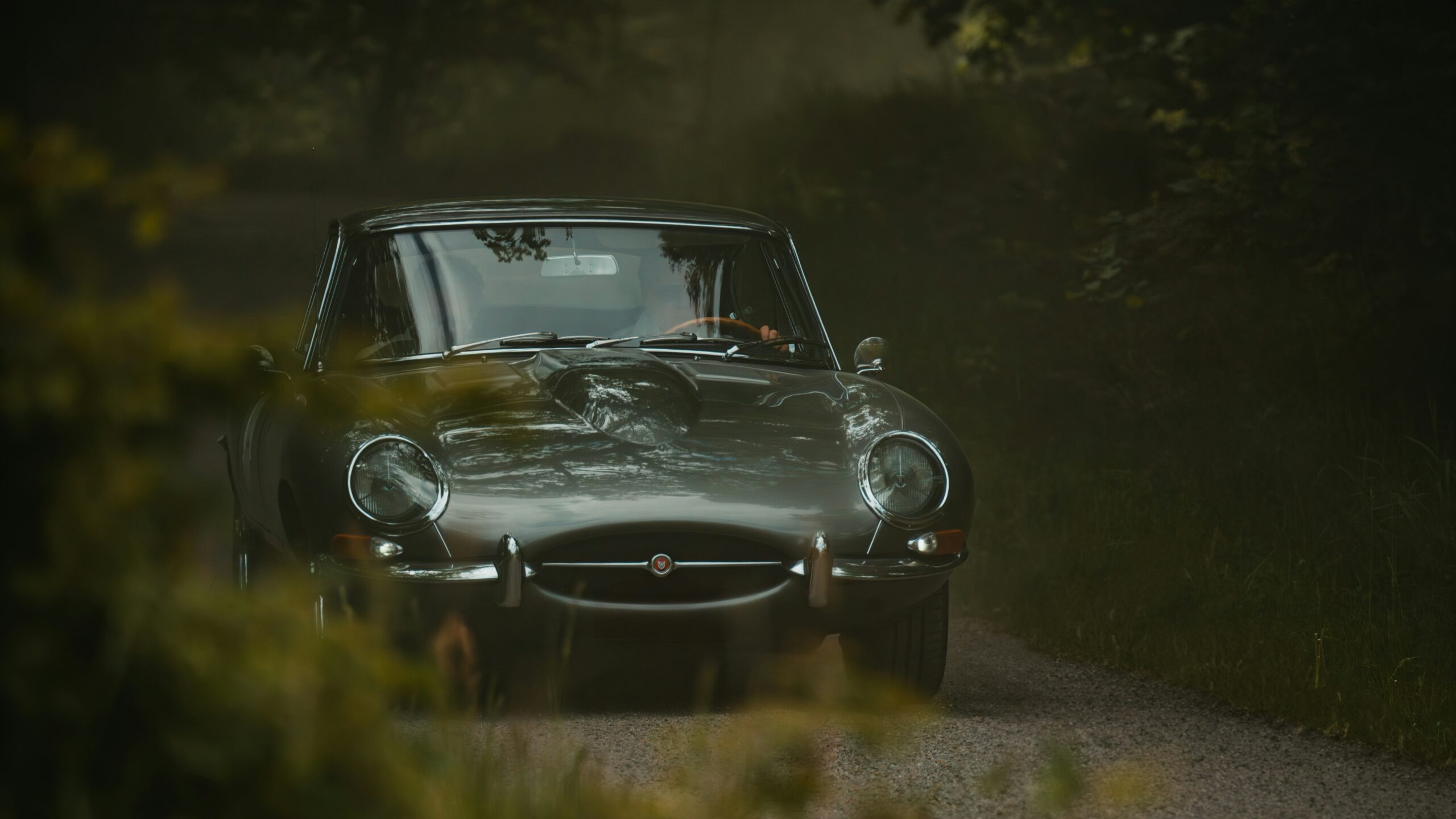 philip-myrtorp-5bNk_xu7oV8-unsplash